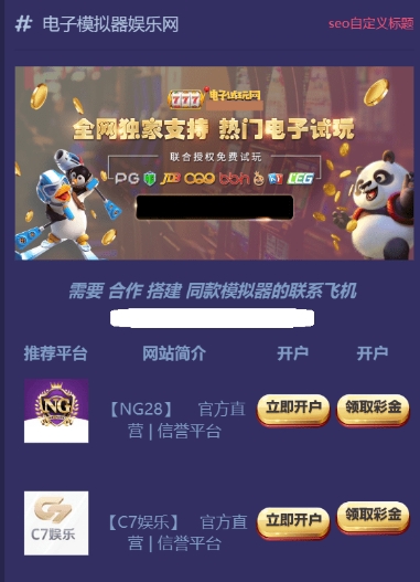 PP PG等电子游戏appH5推广